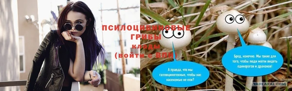 кокс Дмитровск