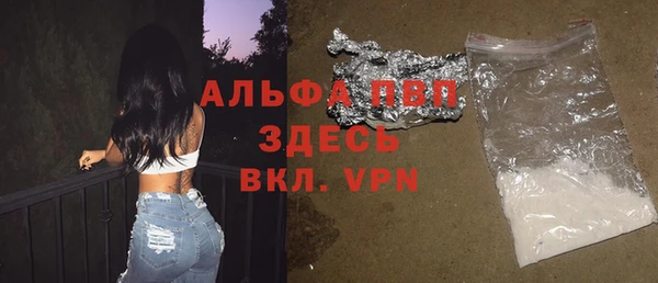 мяу мяу мука Дмитриев
