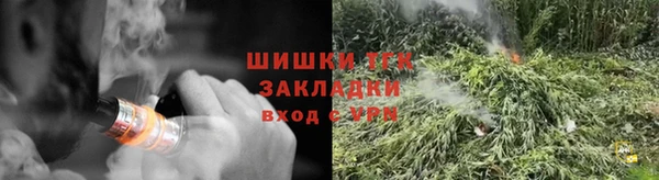 стафф Гусев
