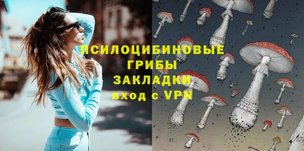 кокс Дмитровск