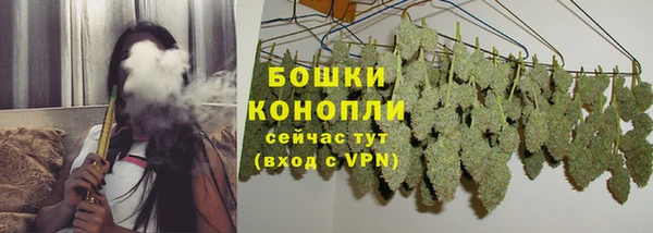 стафф Гусев