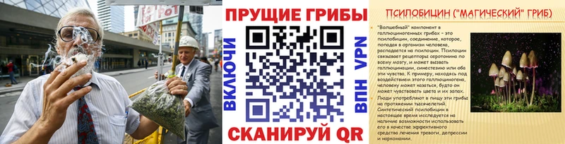 Галлюциногенные грибы мухоморы сайты даркнета телеграм Северодвинск