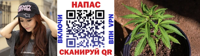 Бошки марихуана гибрид  Северодвинск 